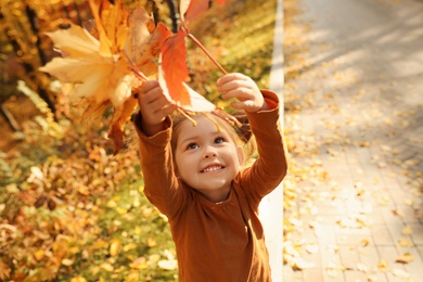 Cute little girl in sunny park. Autumn walk