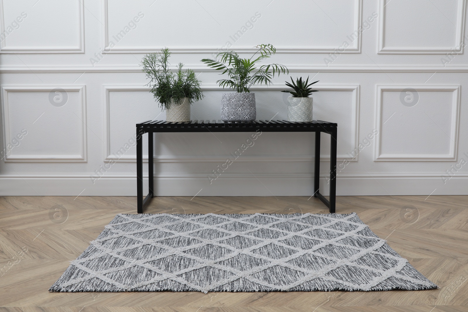 Photo of Bench with houseplants and rug on room. Interior accessory
