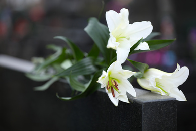 White lilies on black granite tombstone outdoors, closeup. Funeral ceremony