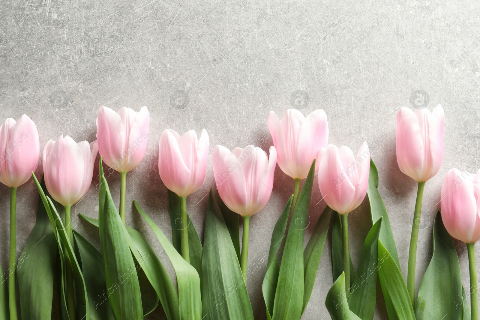 Photo of Beautiful tulips for Mother's Day on grey background, top view