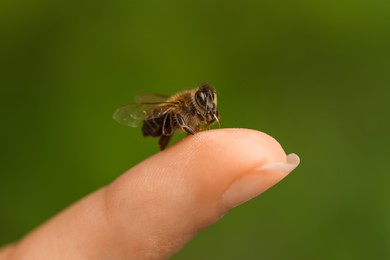 Photo of Bee going to sting woman on green blurred background, closeup