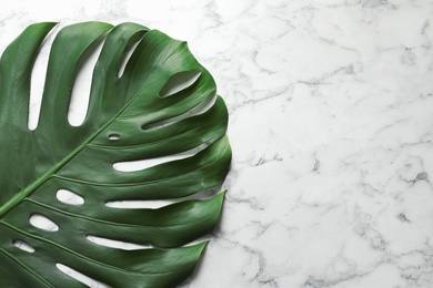 Photo of Green fresh monstera leaf on marble background, top view with space for text. Tropical plant