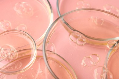 Photo of Petri dishes with liquid samples on pink background, closeup