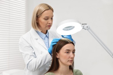 Trichologist examining patient`s hair under lamp in clinic