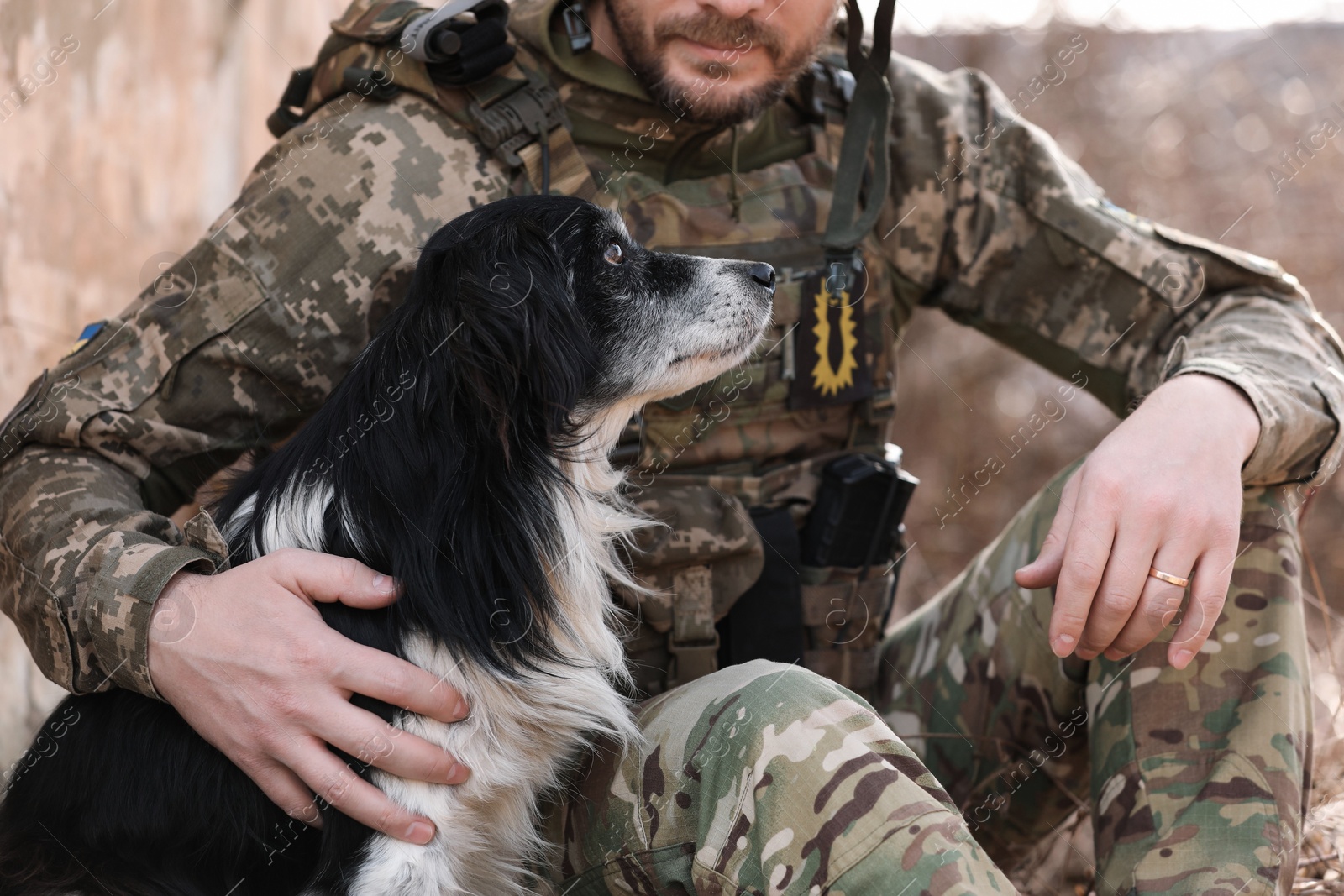 Photo of Ukrainian soldier with stray dog outdoors, closeup