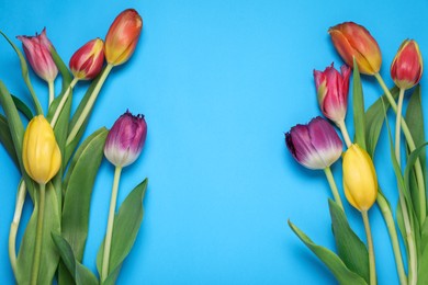 Photo of Beautiful colorful tulip flowers on light blue background, flat lay. Space for text