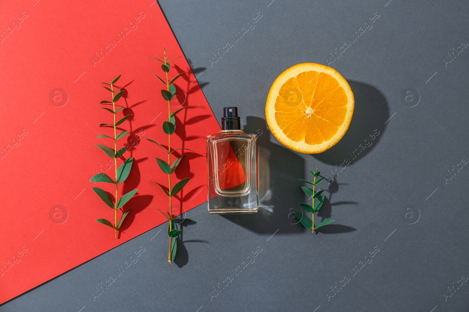 Photo of Beautiful composition with bottle of perfume on color background, flat lay