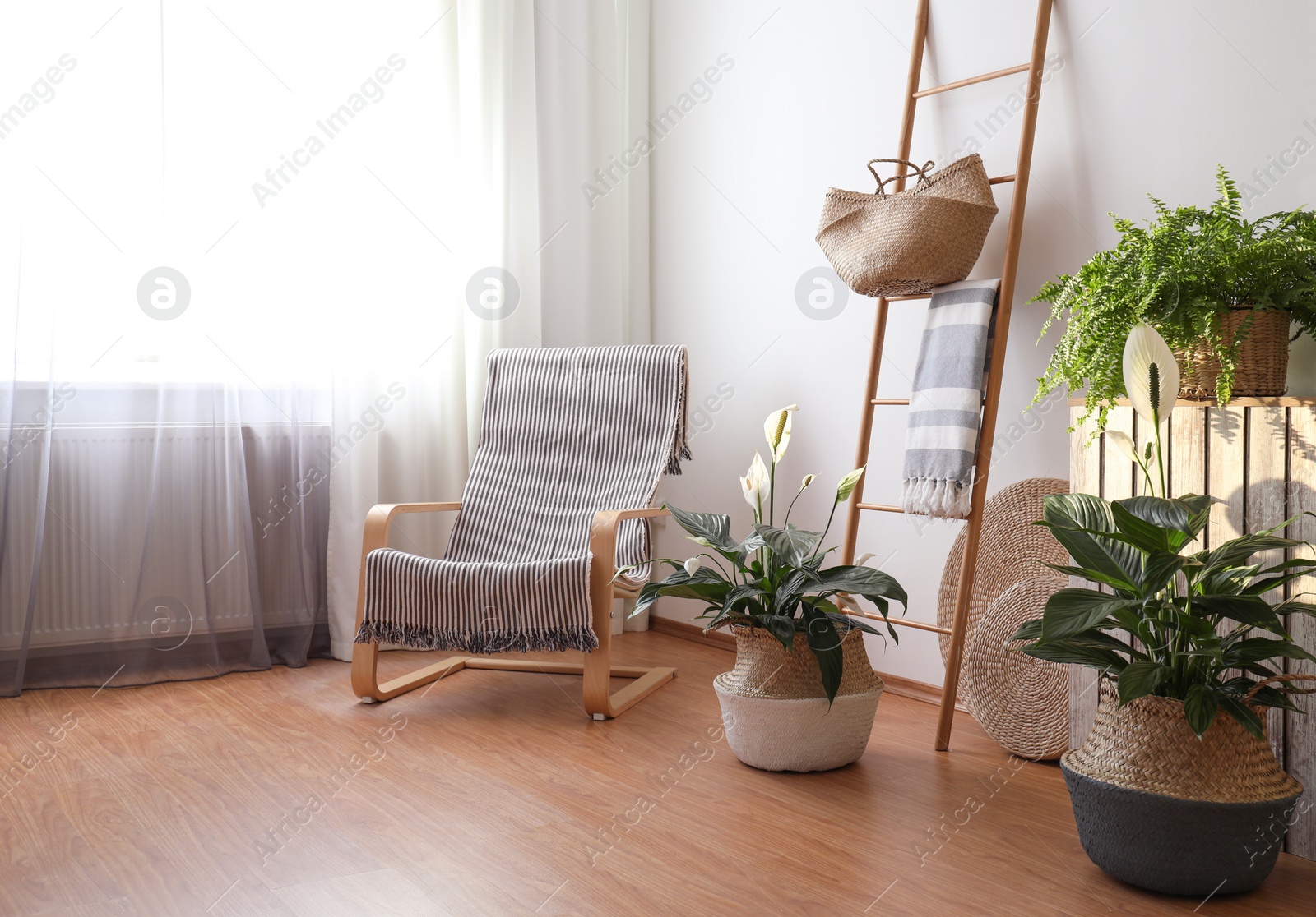 Photo of Beautiful plants in wicker pots near white wall indoors. Interior design idea