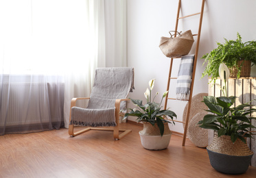 Photo of Beautiful plants in wicker pots near white wall indoors. Interior design idea