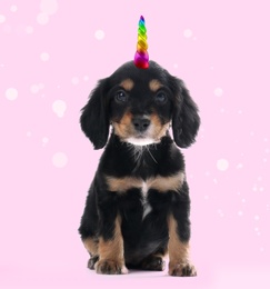Image of Cute puppy with rainbow unicorn horn on pink background