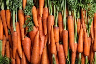 Photo of Tasty raw carrots as background, top view