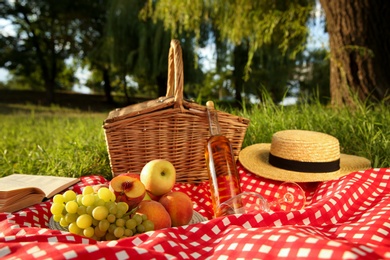 Picnic blanket with delicious food and wine in park