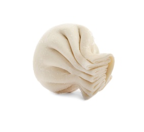 Raw dumpling with tasty filling on white background