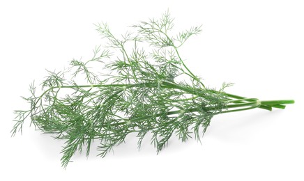 Photo of Sprigs of fresh dill isolated on white