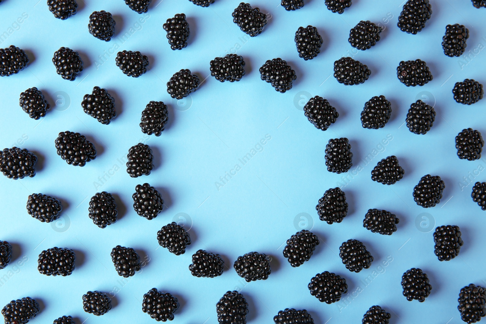 Photo of Flat lay composition with ripe blackberries on blue background. Space for text