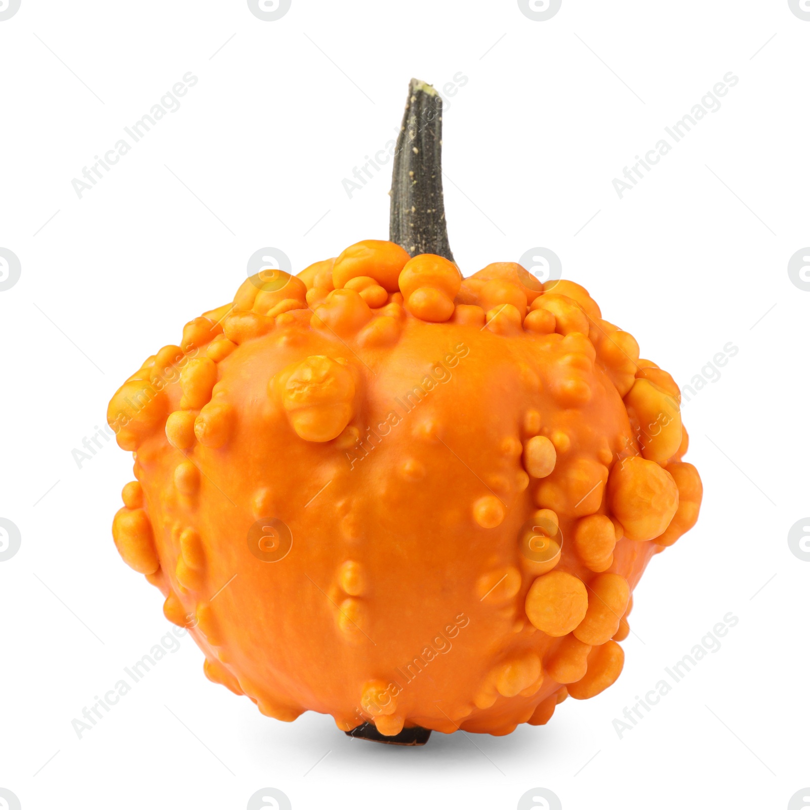 Photo of One whole ripe pumpkin isolated on white