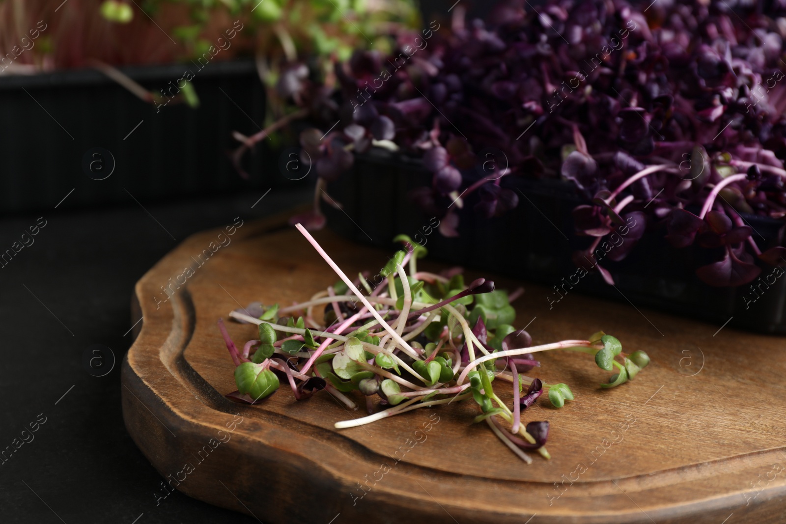 Photo of Fresh radish microgreens and wooden board on dark grey table, closeup