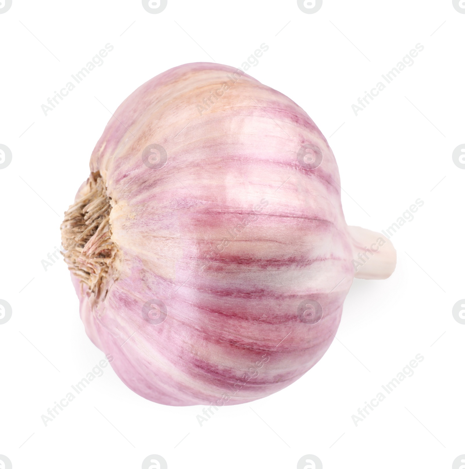 Photo of Head of fresh garlic isolated on white, top view