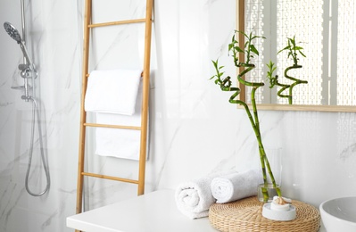 Tropical bamboo stems with leaves in stylish bathroom interior