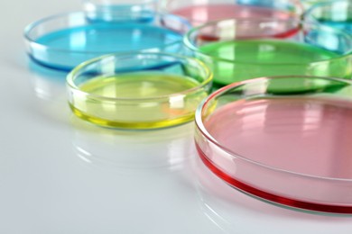 Photo of Petri dishes with colorful liquids on white table, closeup