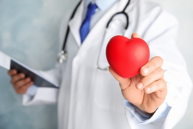 Photo of Doctor holding red heart, closeup view with space for text. Cardiology concept