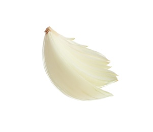 Photo of Slice of fresh ripe onion on white background