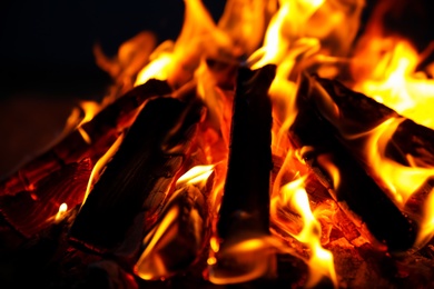 Photo of Beautiful bonfire with burning firewood outdoors at night, closeup
