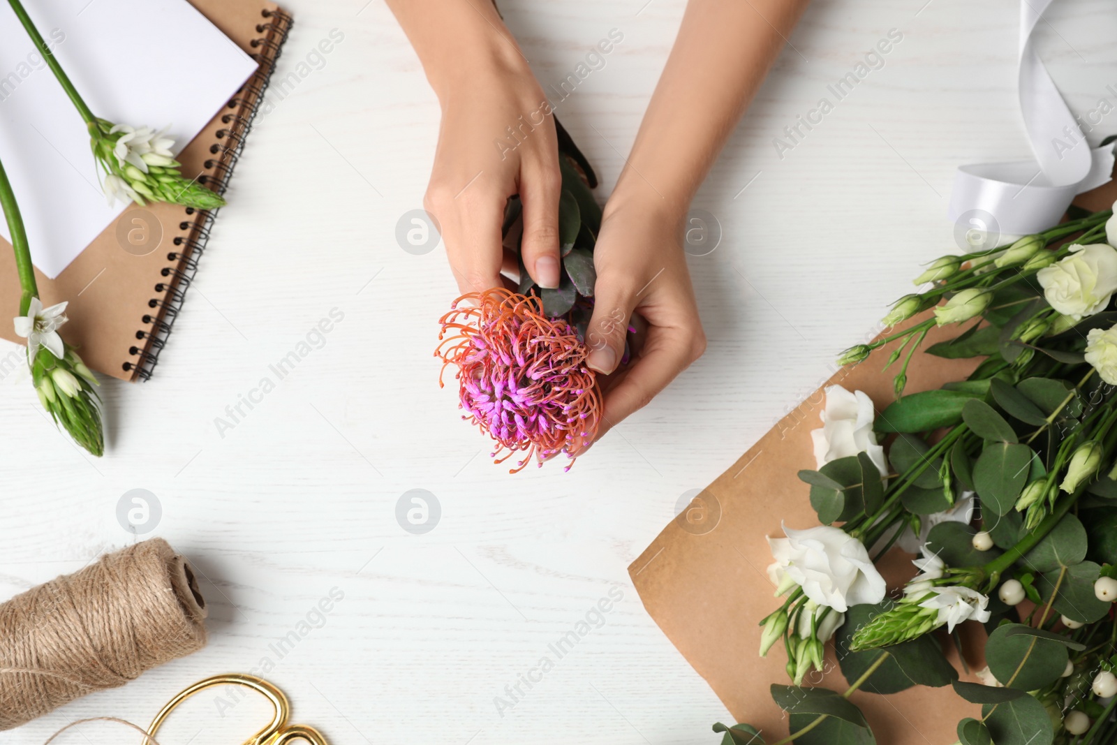 Photo of Florist holding beautiful leucospermum flower at white wooden table, top view