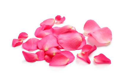 Photo of Fresh pink rose petals on white background