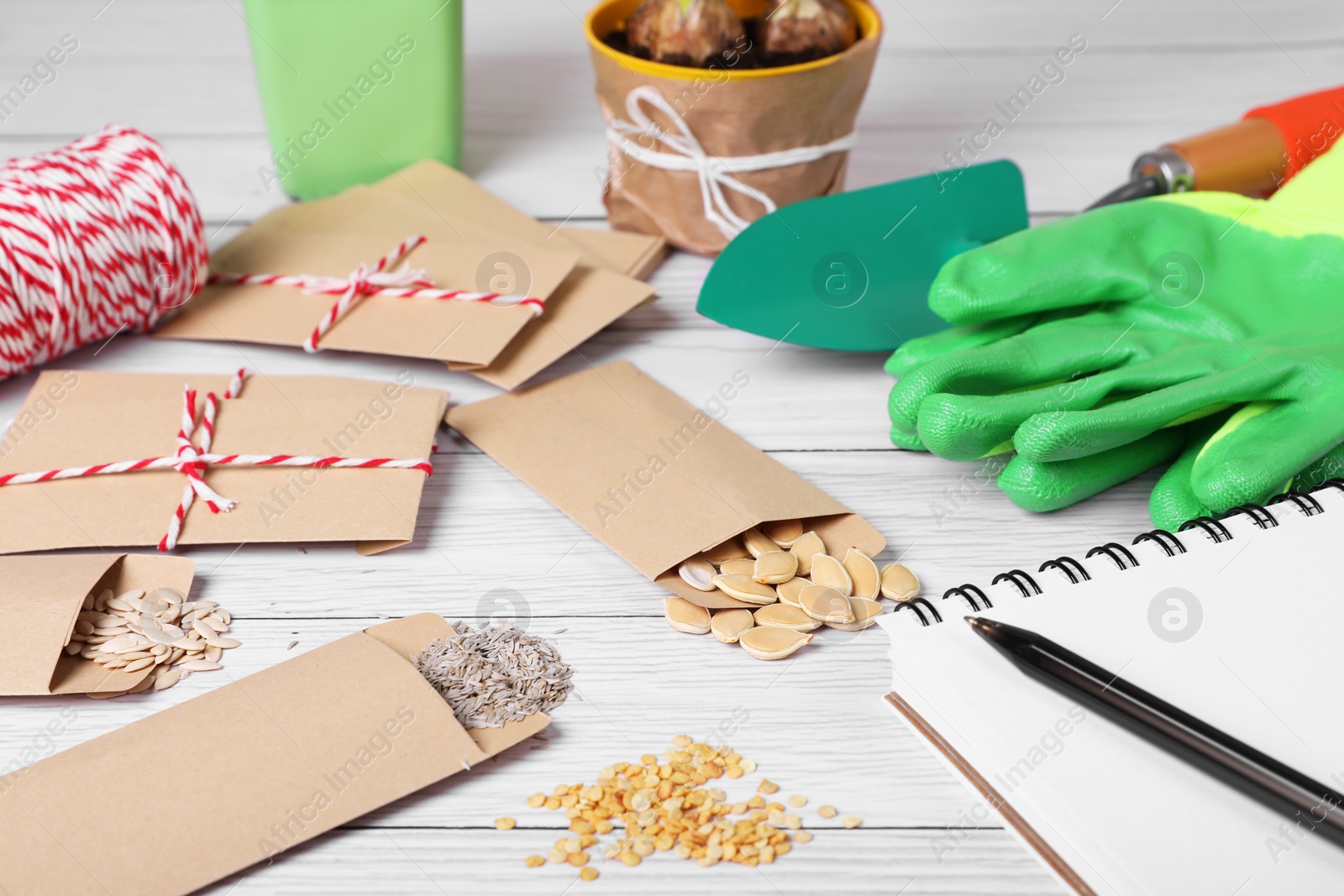 Photo of Many different vegetable seeds and notebook on white wooden table