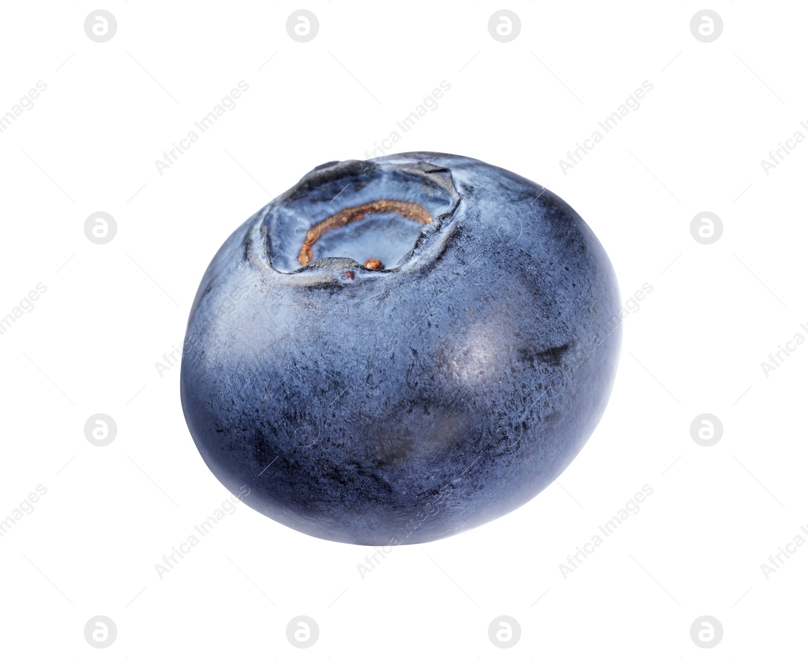 Photo of One fresh ripe blueberry isolated on white