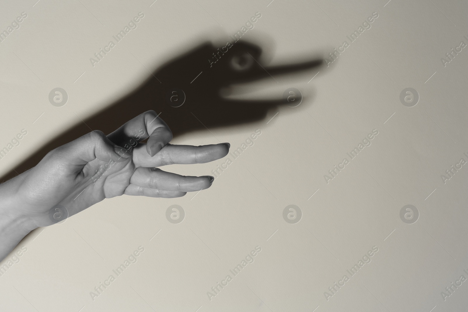 Photo of Shadow puppet. Woman making hand gesture like goose on light background, closeup with space for text. Black and white effect