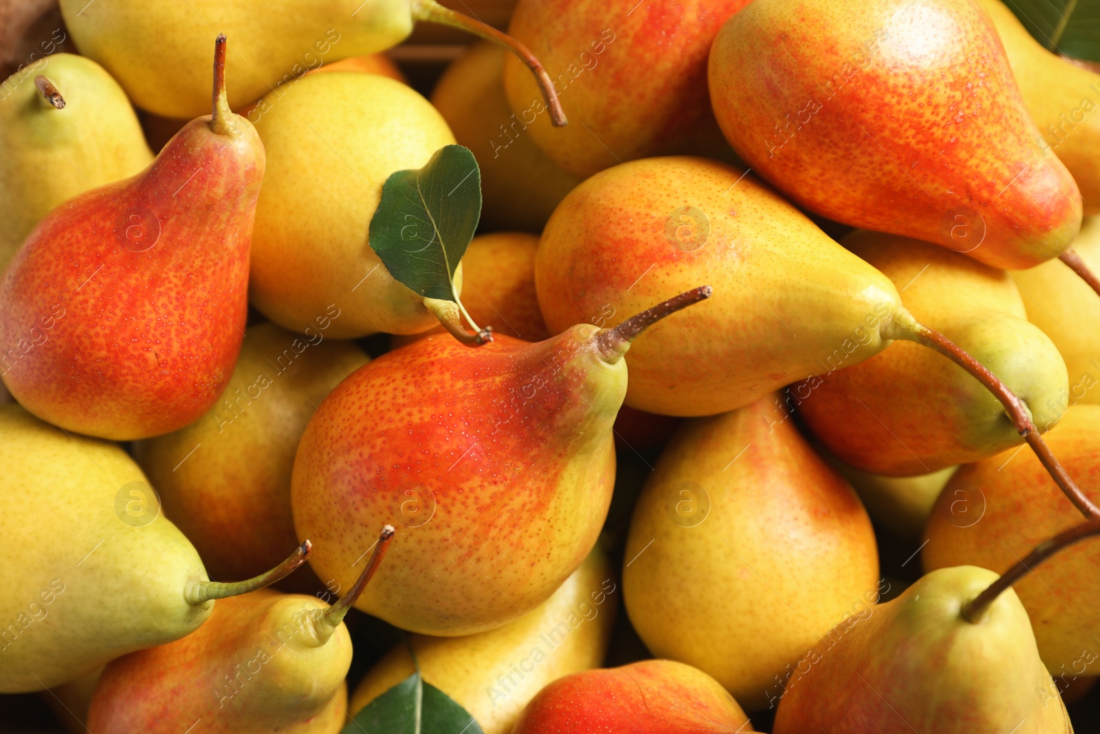 Photo of Tasty ripe pears as background, top view