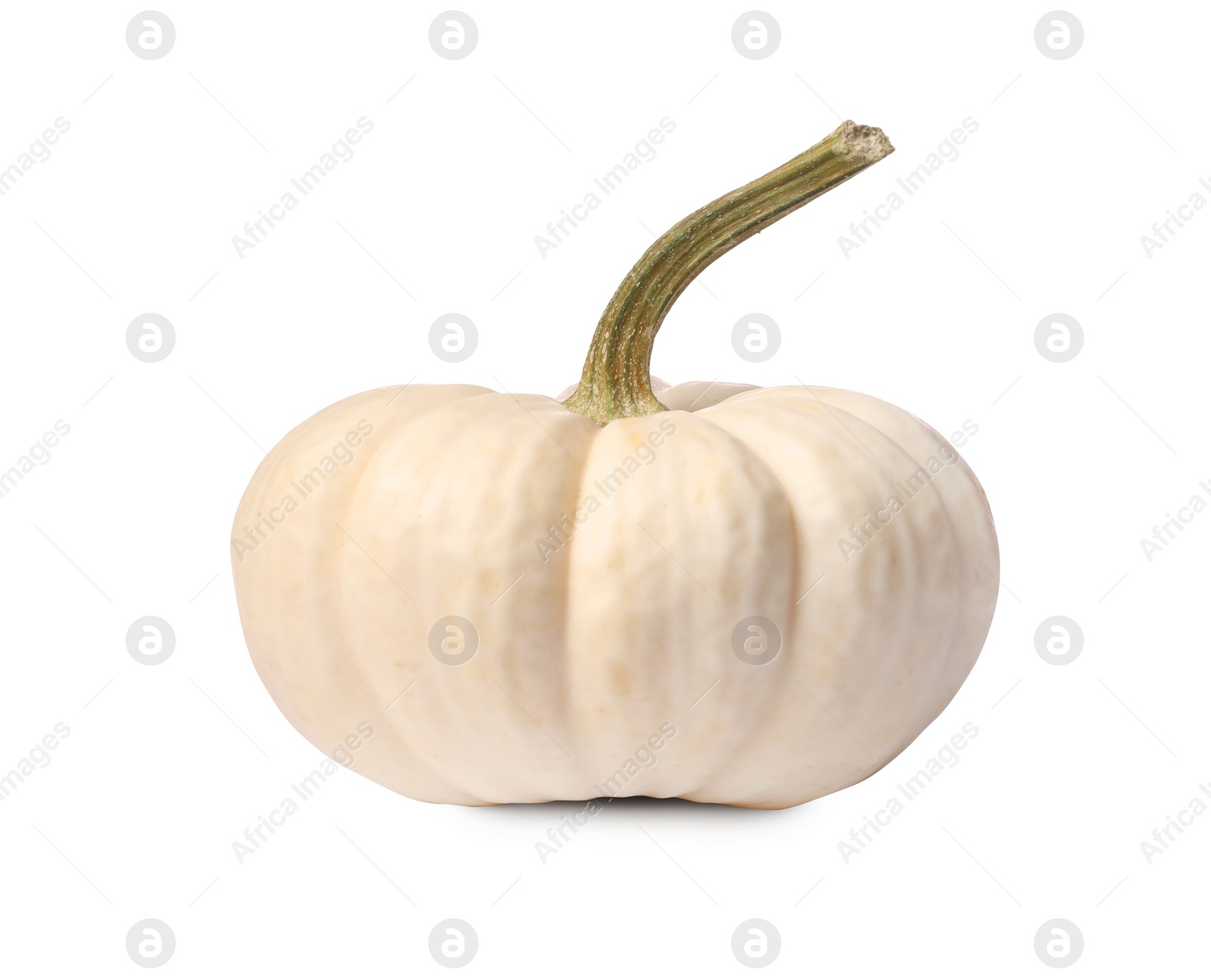 Photo of One fresh ripe pumpkin isolated on white