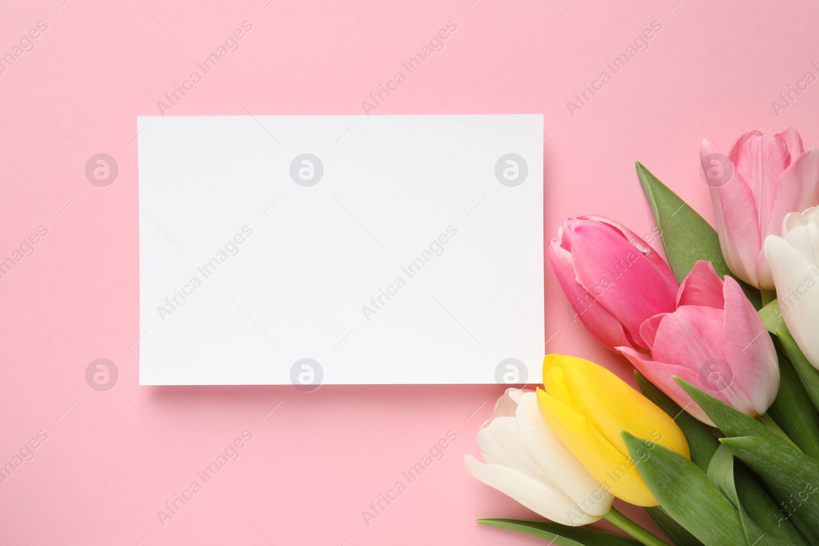 Photo of Beautiful spring tulips and card on color background, top view with space for text. International Women's Day