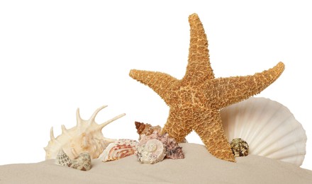 Beautiful starfish and sea shells in sand on white background