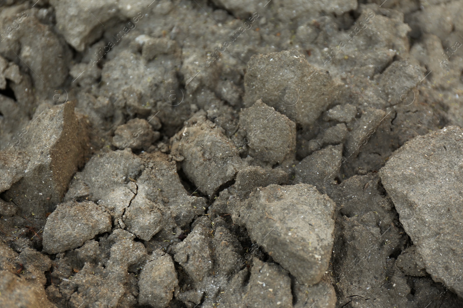 Photo of Textured ground surface as background, closeup. Fertile soil for farming and gardening