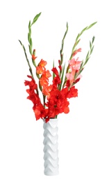 Photo of Vase with beautiful gladiolus flowers on white background