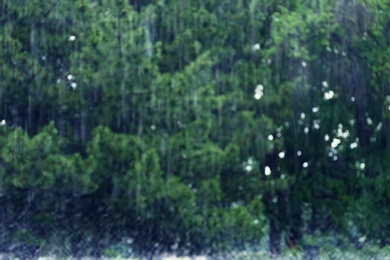 Blurred view of green park on rainy day