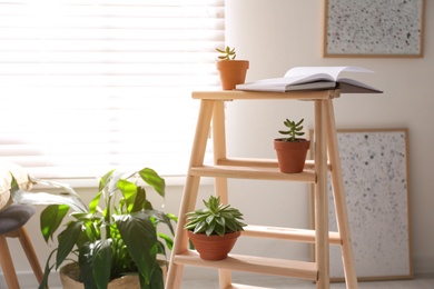 Photo of Decorative ladder with beautiful houseplants in stylish living room. Idea for interior design
