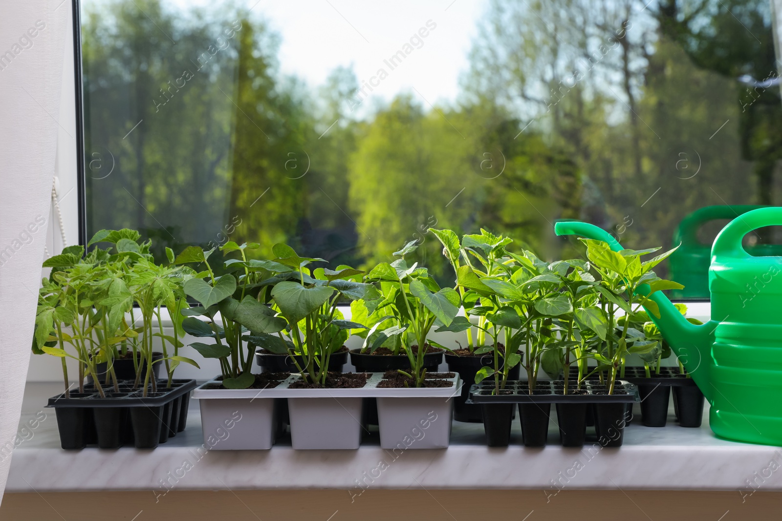 Photo of Seedlings growing in plastic containers with soil and watering can on windowsill indoors