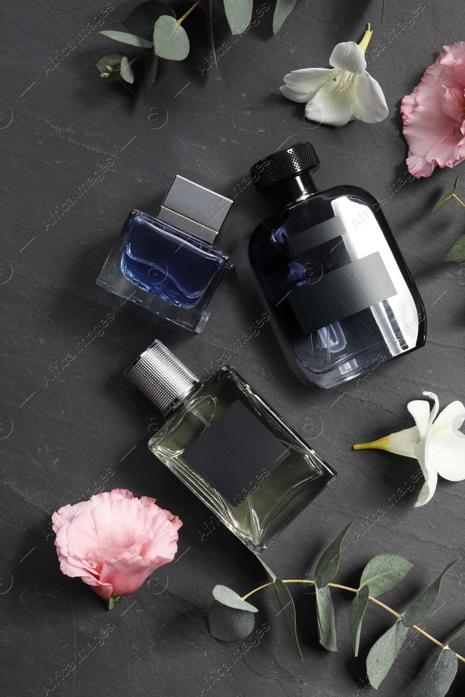 Photo of Luxury perfumes and floral decor on black table, flat lay