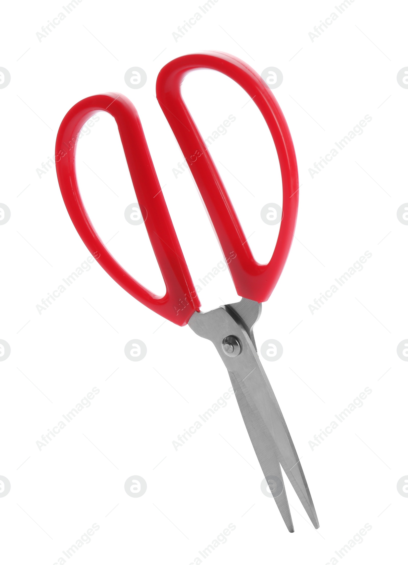 Photo of Pair of sewing scissors on white background