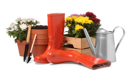 Beautiful flowers, pots, rubber boots and gardening tools isolated on white