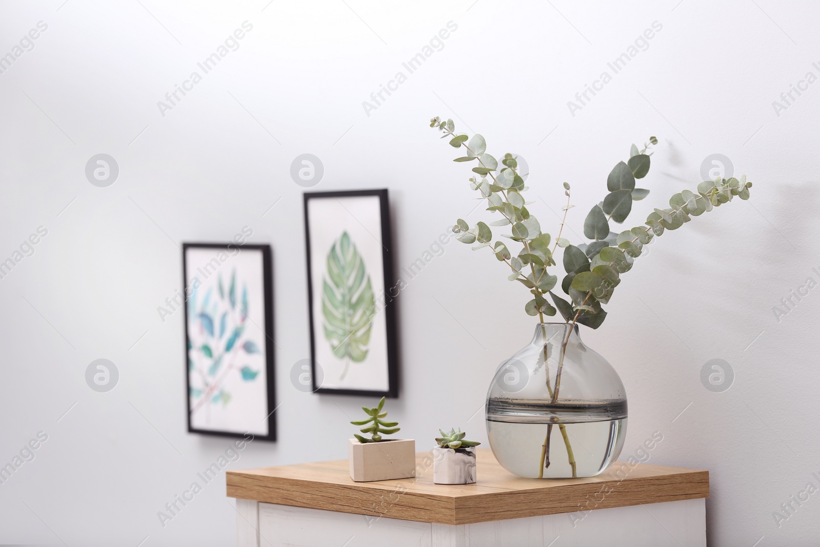 Photo of Vase with fresh eucalyptus branches on cabinet in room. Interior design