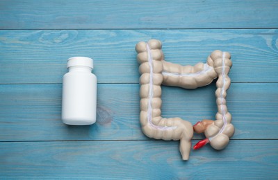Photo of Anatomical model of large intestine and bottle with pills on turquoise wooden background, flat lay