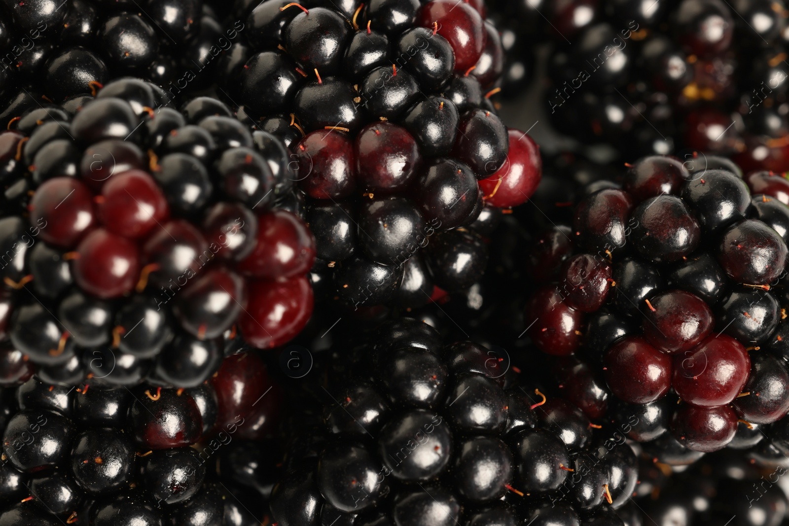 Photo of Many tasty ripe blackberries as background ,closeup