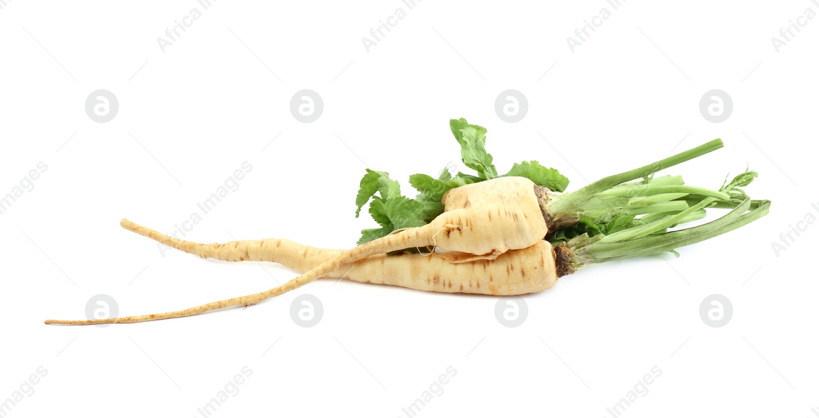 Photo of Tasty fresh ripe parsnips on white background