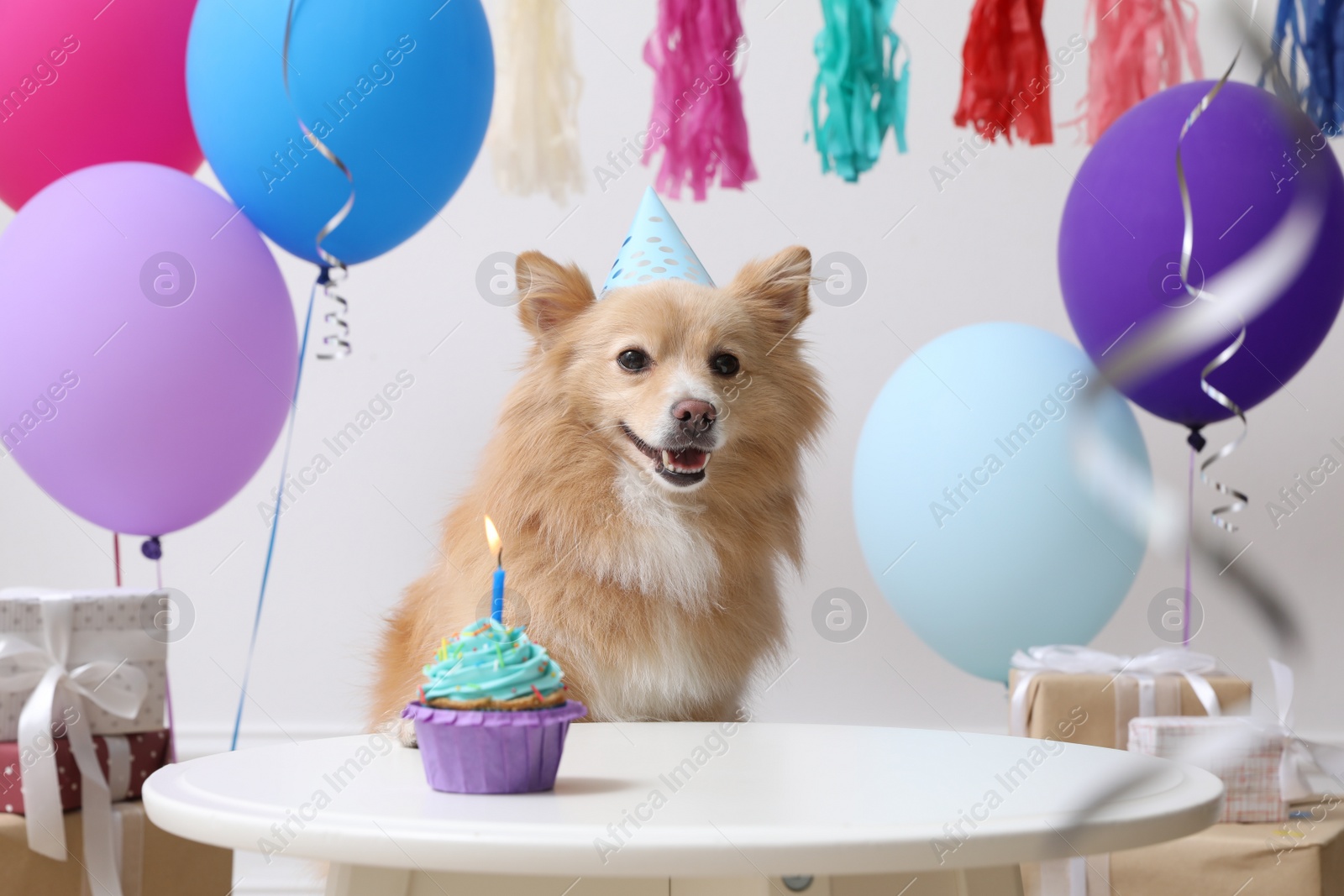 Photo of Cute dog wearing party hat at table with delicious birthday cupcake in decorated room