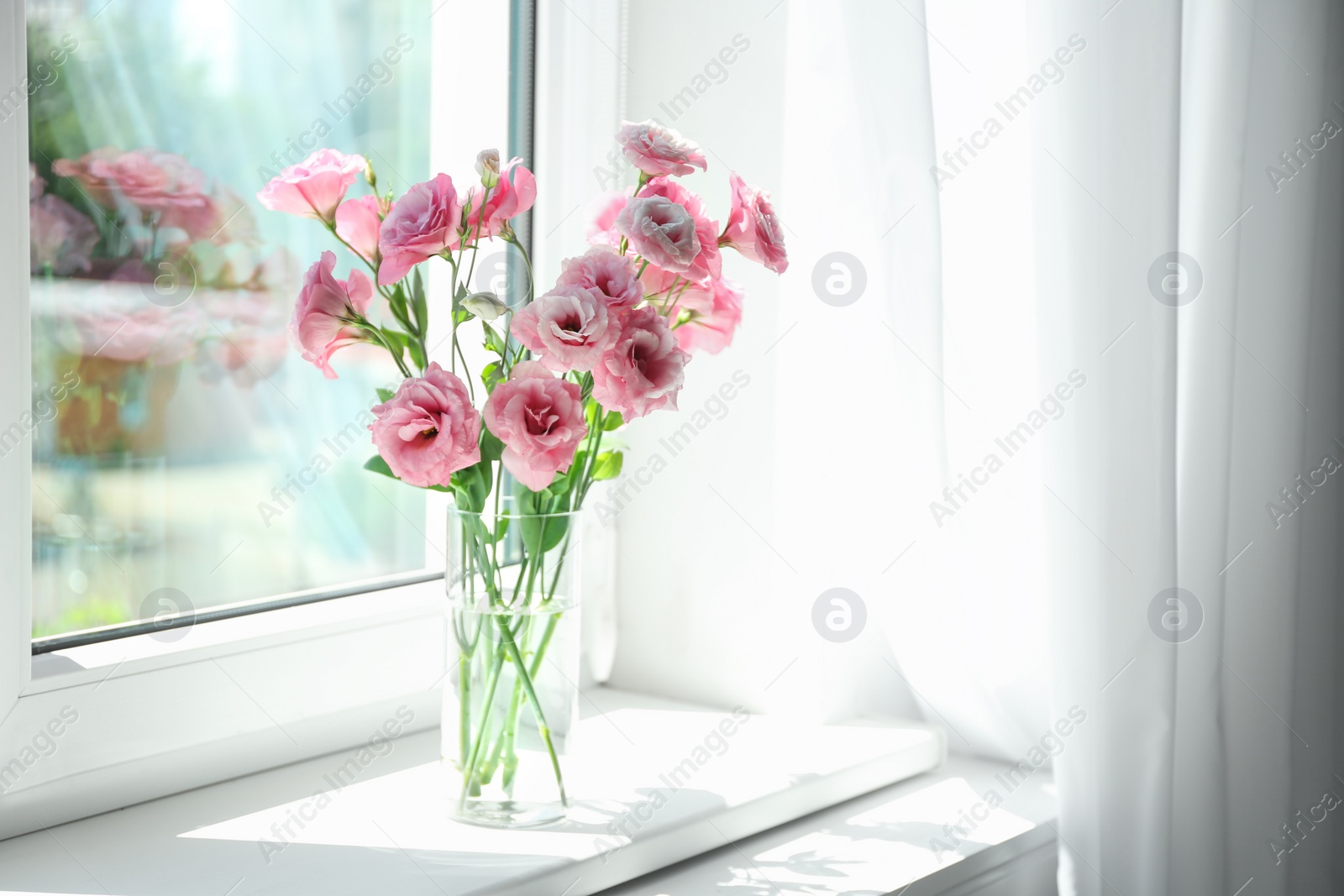 Photo of Glass vase with beautiful flowers on window sill in room, space for text
